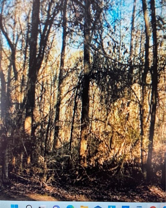 2nd image of 1059 Arnold Rd Lot 9