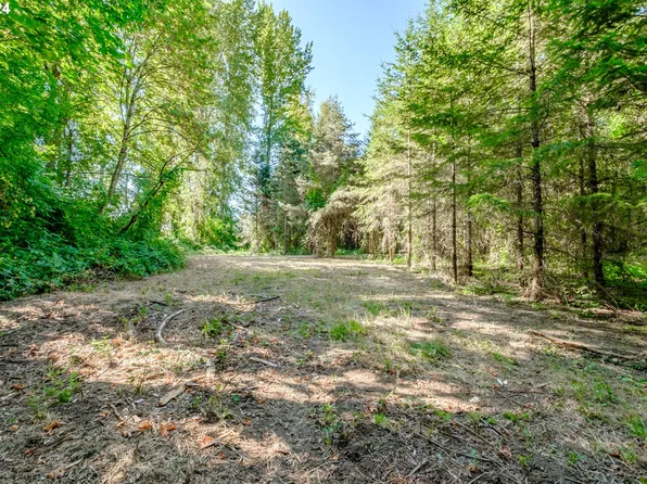 Matheny Rd NE Lot 2, Gervais, OR 97026