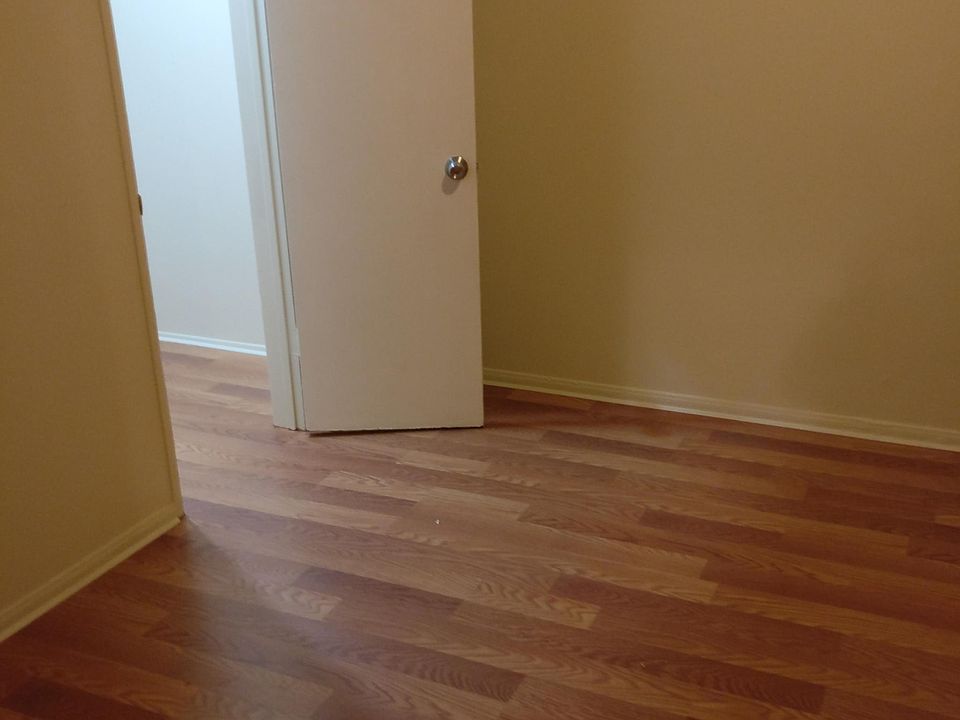 Another spacious bedroom with laminate floor and walk in closet
