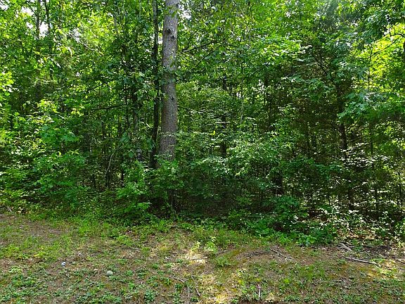 3rd image of 0 Trout Dr Lot 10