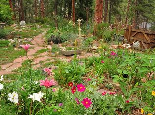 3137 Meadow View Road, Evergreen, CO 80439