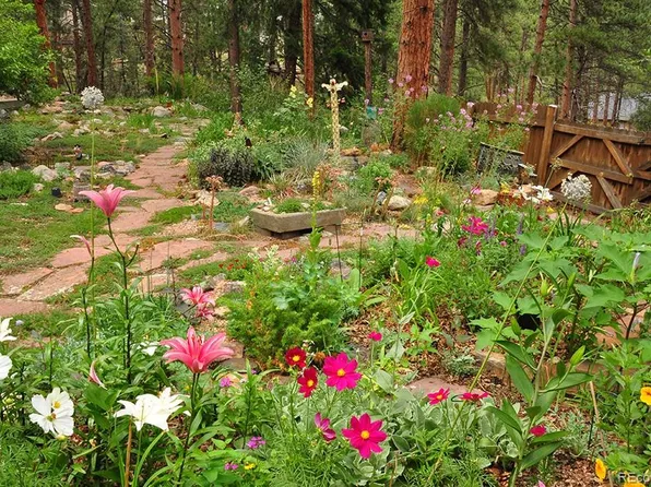 3137 Meadow View Road, Evergreen, CO 80439