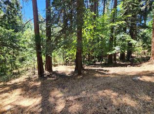 19131 Middle Camp Sugar Pine Rd, Twain Harte, CA 95383