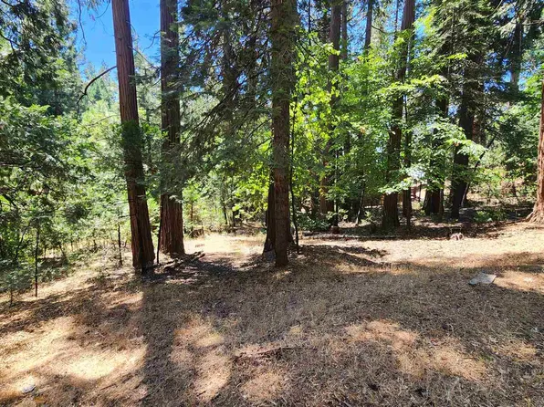 19131 Middle Camp Sugar Pine Rd, Twain Harte, CA 95383
