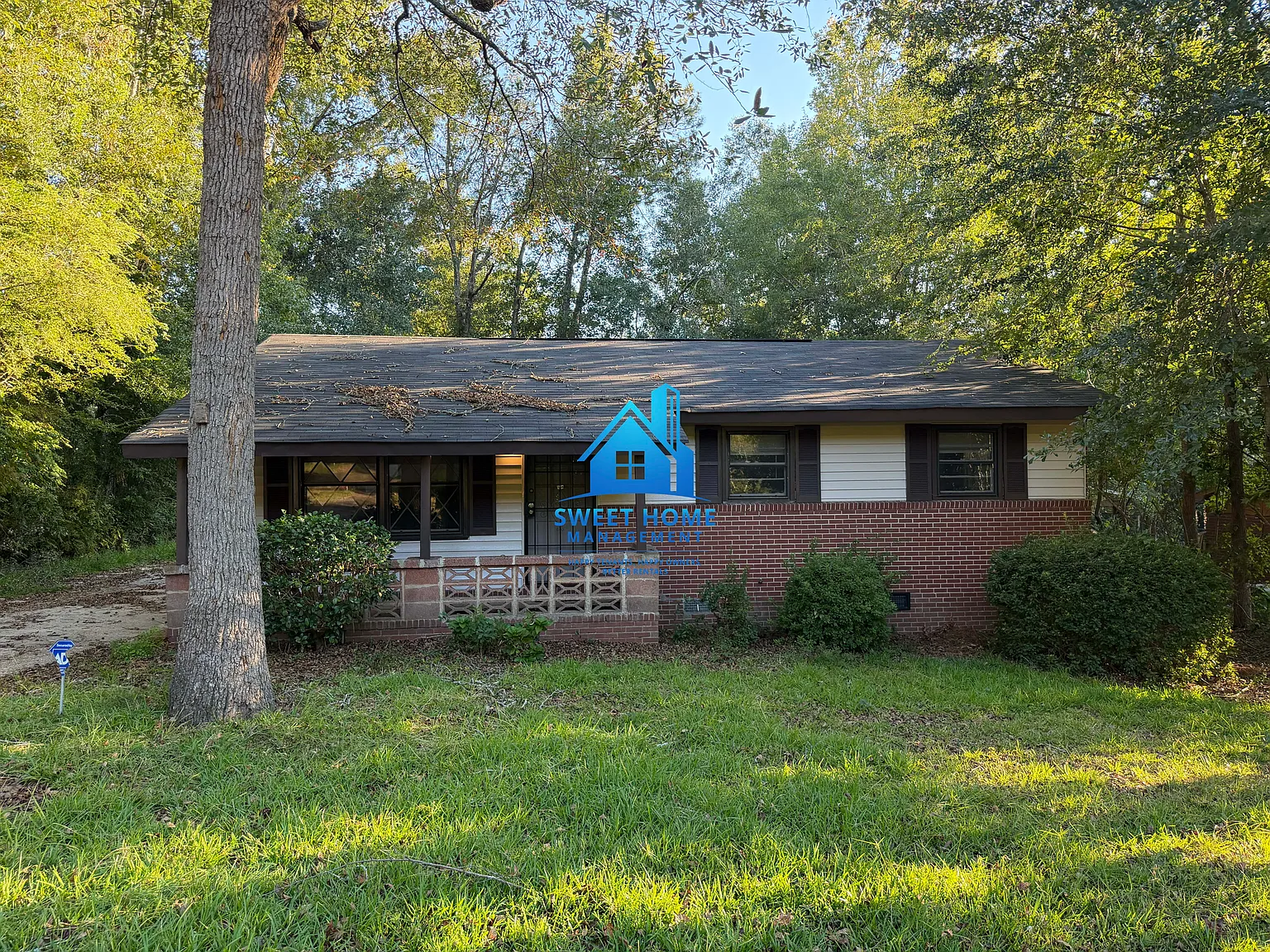 3 bed, 975 sqft, $1,500 — Photo 1