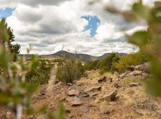 3869 Bear Creek Circle, South Fork, CO 81154