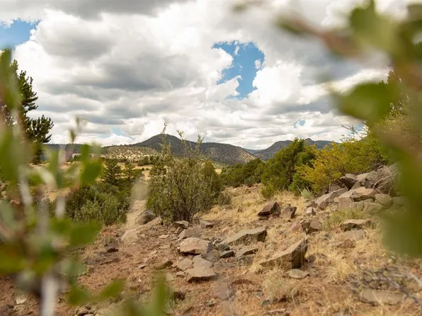 3869 Bear Creek Circle, South Fork, CO 81154