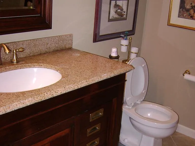 Primary Bathroom (Master Bathroom)