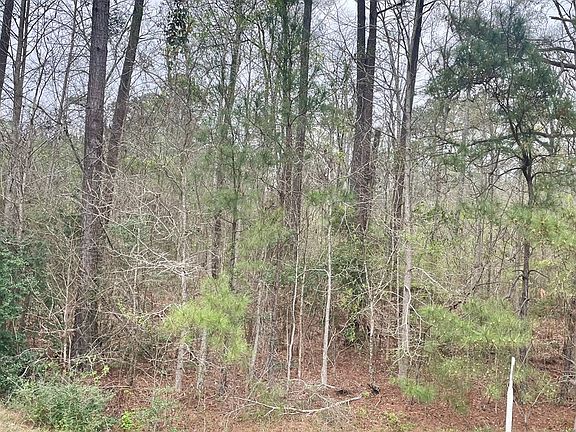 3rd image of TRACT 1st Highway 96 N