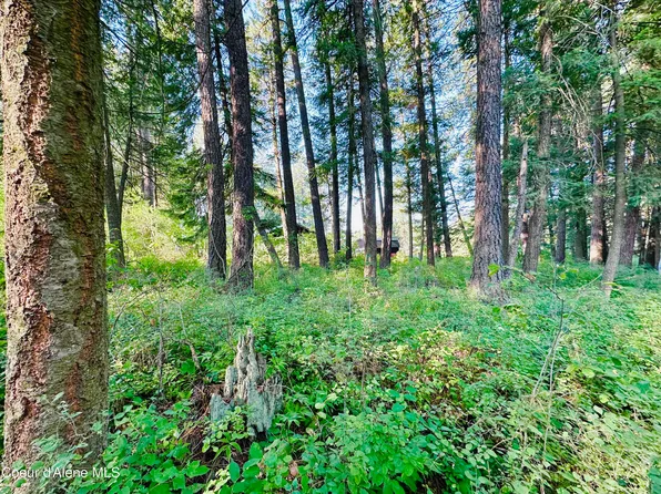 F F Nka St, Plummer, ID 83851