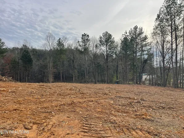 0.79 Robbies Ln, Decatur, TN 37322