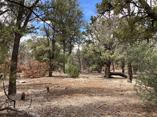 Talavera Ln Unit 4, Tierra Amarilla, NM 87575