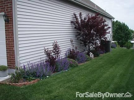South side seen from front
						:
						Sand cherry bushes and blooming ground cover