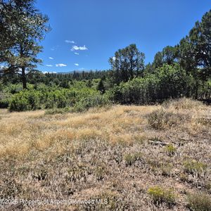 1620 Wildcat Canyon Rd, Montrose, CO, 81403