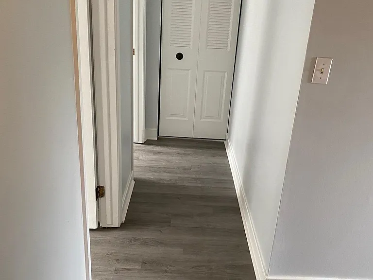 9732 Springfield Woods Cir — Photo 39
