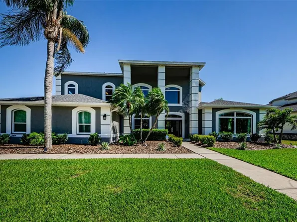 4010 Executive Dr, Palm Harbor, FL 34685