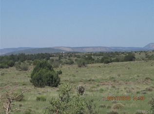 LOT 311 Hyde Park Rd, Seligman, AZ 86337