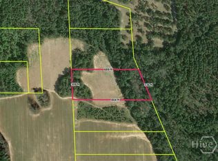 00 Webster Road, Waynesboro, GA 30830