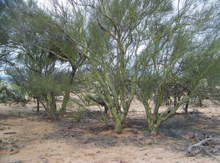 16378 W Prosperi Ave, Tucson, AZ 85736