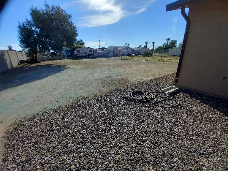 Back yard