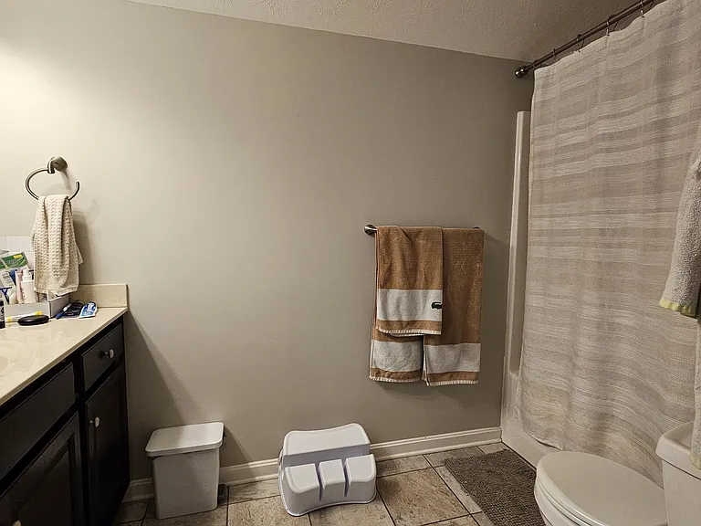 12315 Amber Woods Ct — Photo 12
