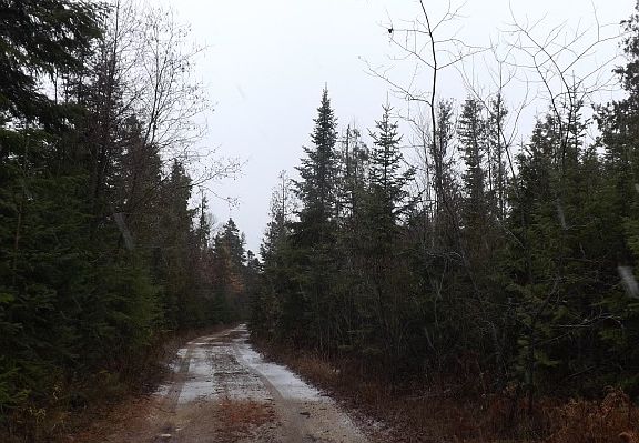 3rd image of 2008 Hidden Shores Dr