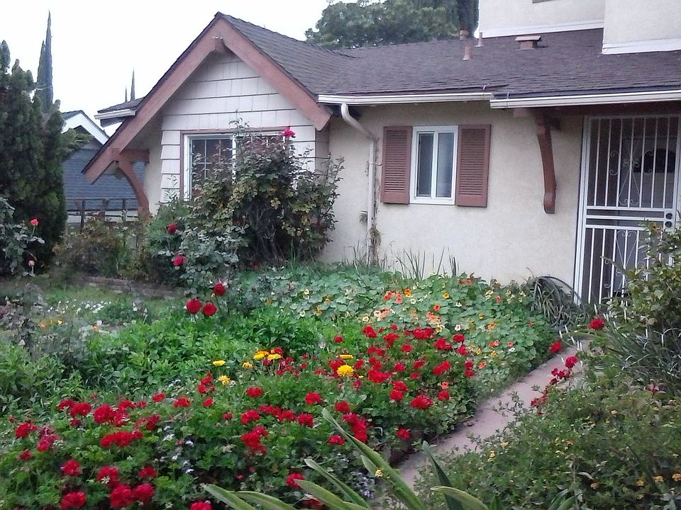 1st image of 497 Cumbre St