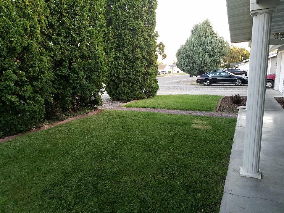 Front Yard