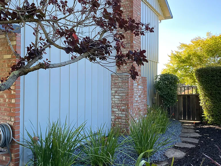 Side Yard - East Side