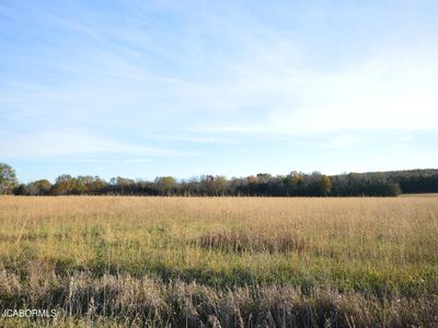 LOT 6 County Road 191, Flemington, MO, 65650