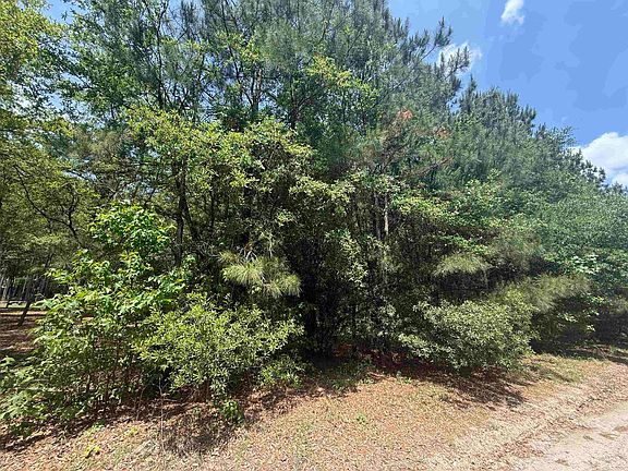 2nd image of Lot 1 Brantly Rd.