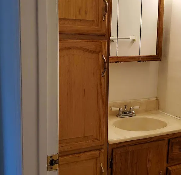 8100 Mount Snow Dr — Photo 4