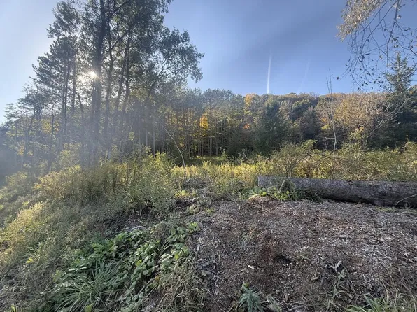 0 Loucks Mills Rd, Galeton, PA 16922