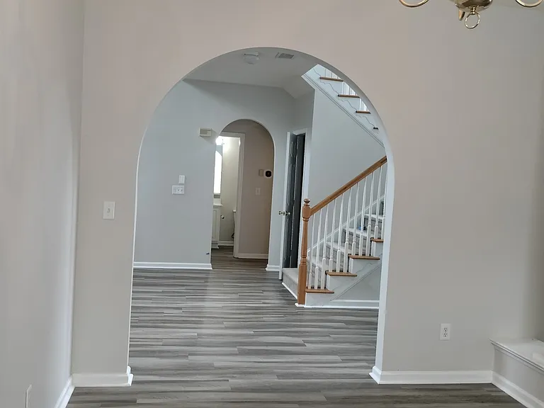 1248 Wild Olive Dr — Photo 11