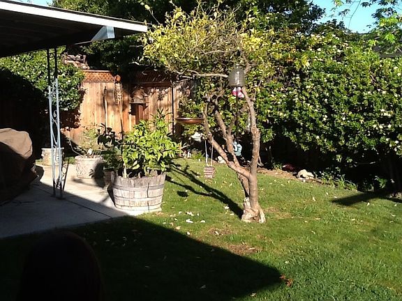 5th image of 917 W Cardinal Dr