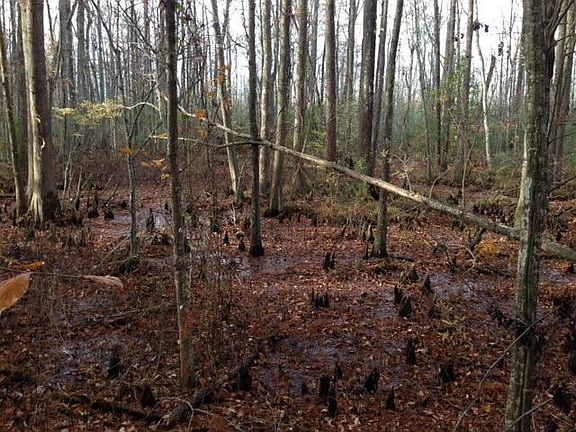 4th image of Sandy Ford Rd
