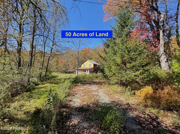 909 Pine Mill Rd, Equinunk, PA 18417