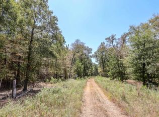4661 County Road 335, Palestine, TX 75803