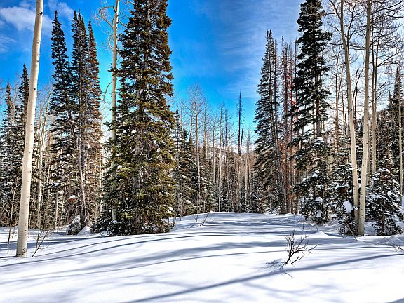 5th image of 128 White Pine Canyon Rd