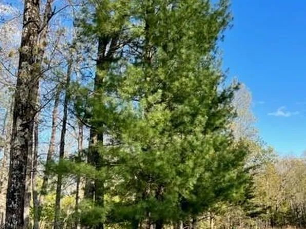 1 Hecker Rd, Owensville, MO 65066