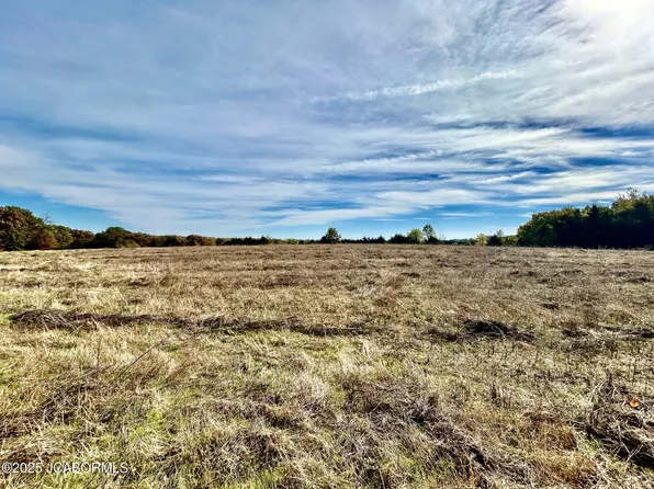 Wieneke Branch Rd, California, MO 65018