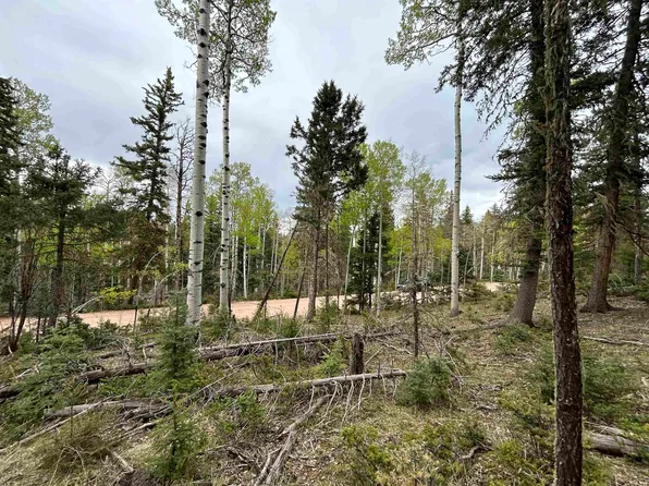 LOT 132 Rio Grande Ter, Angel Fire, NM 87710