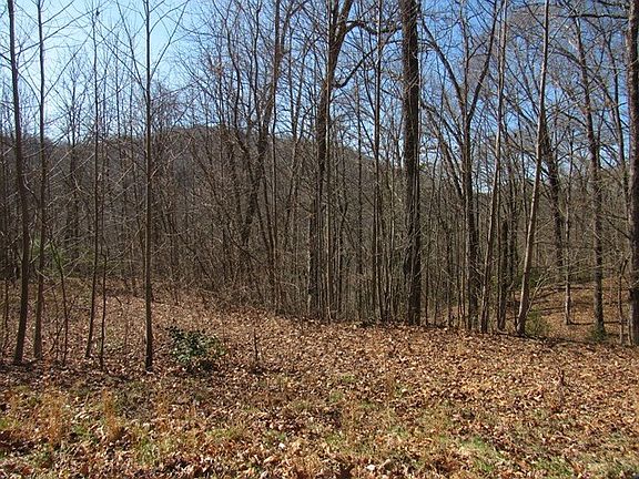 2nd image of 107 Wildflower Dr