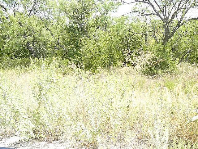 1st image of 709 Shady Oaks Dr