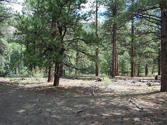 3rd image of LOT 126 Bear Creek