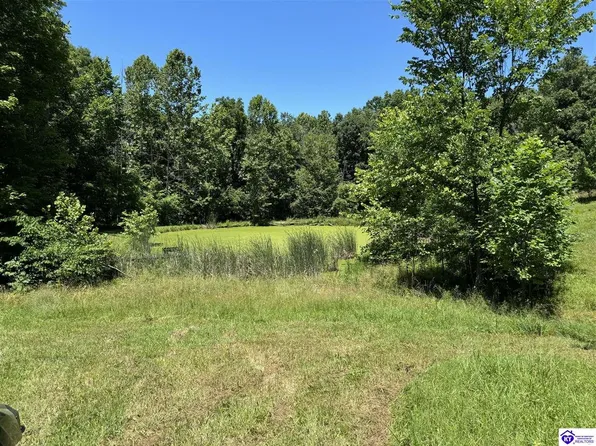 9001 E Highway 60, Irvington, KY 40146