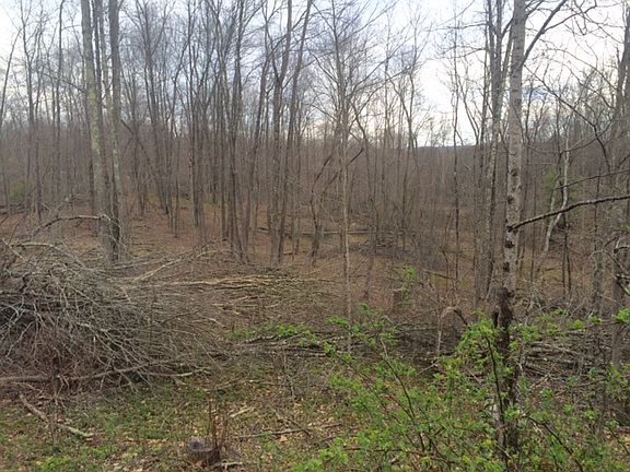 3rd image of 00 Kodiak Ln