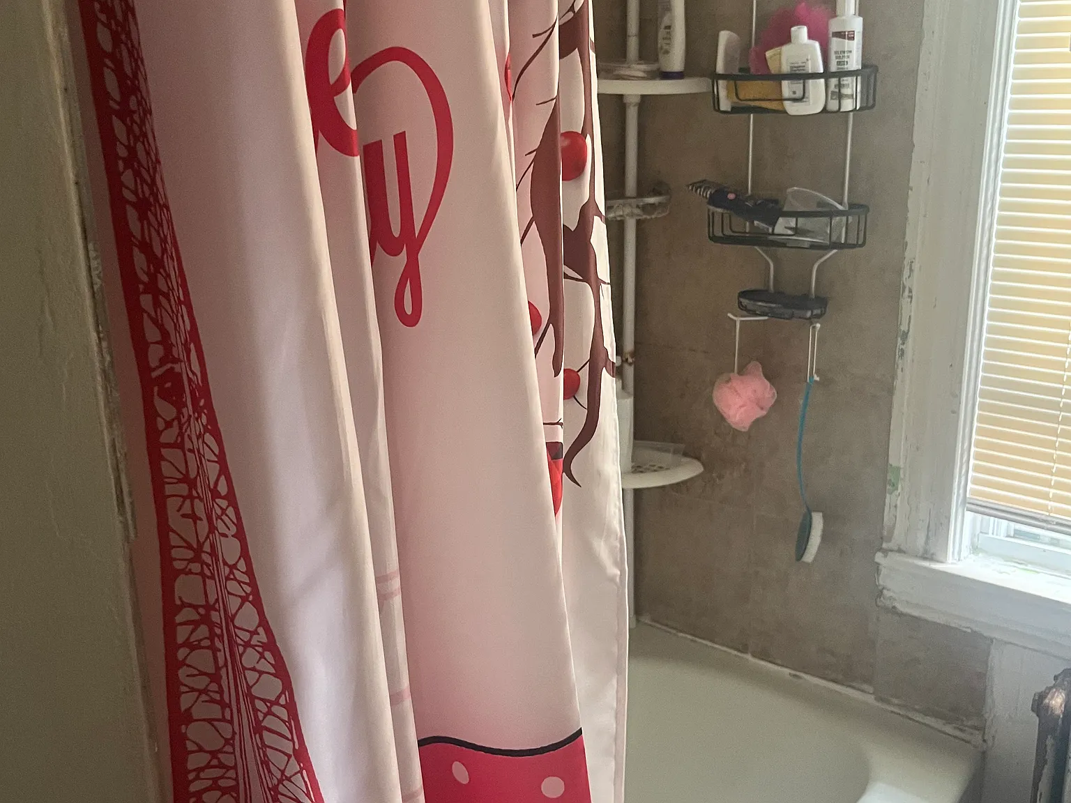 3 bed, 950 sqft, $2,000 — Photo 4