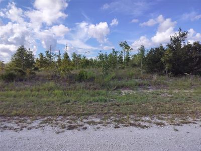 0 Scissorbill Ave LOT 14, Brooksville, FL, 34614