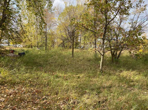 Xxx Wrigley Cir, Vergas, MN 56587